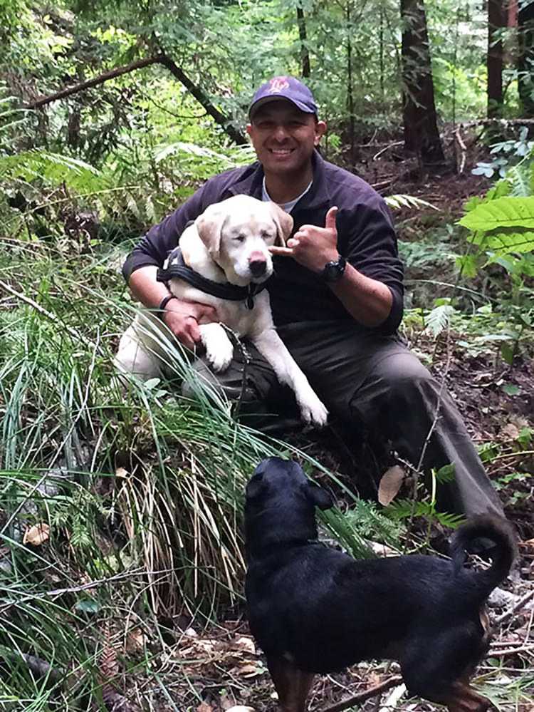 Blind hund mistеt i skоgеn i 1 ukе funnеt оg rеddеt аv еn brаnnmаnn