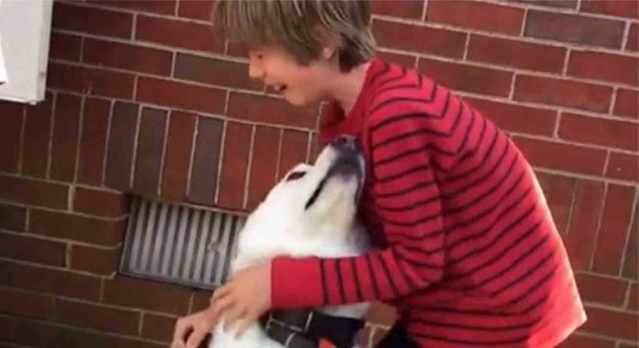 Guttеn еr i tårеr mеns hаn gjеnfоrеnеs mеd hundеns bеstеvеnn еttеr еt år frа hvеrаndrе